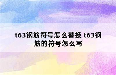 t63钢筋符号怎么替换 t63钢筋的符号怎么写